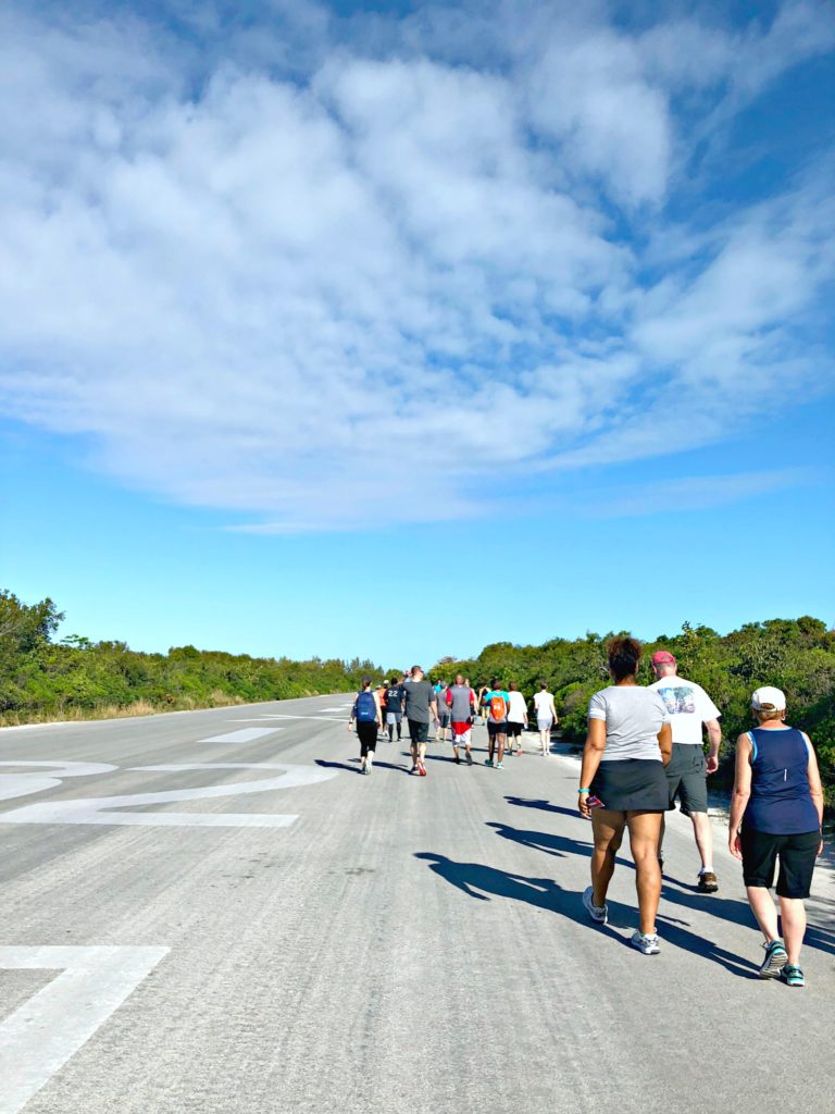 A large group of people walking the Disney's Castaway Cay 5K. 