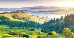 Why You Need to Visit Kodaikanal!