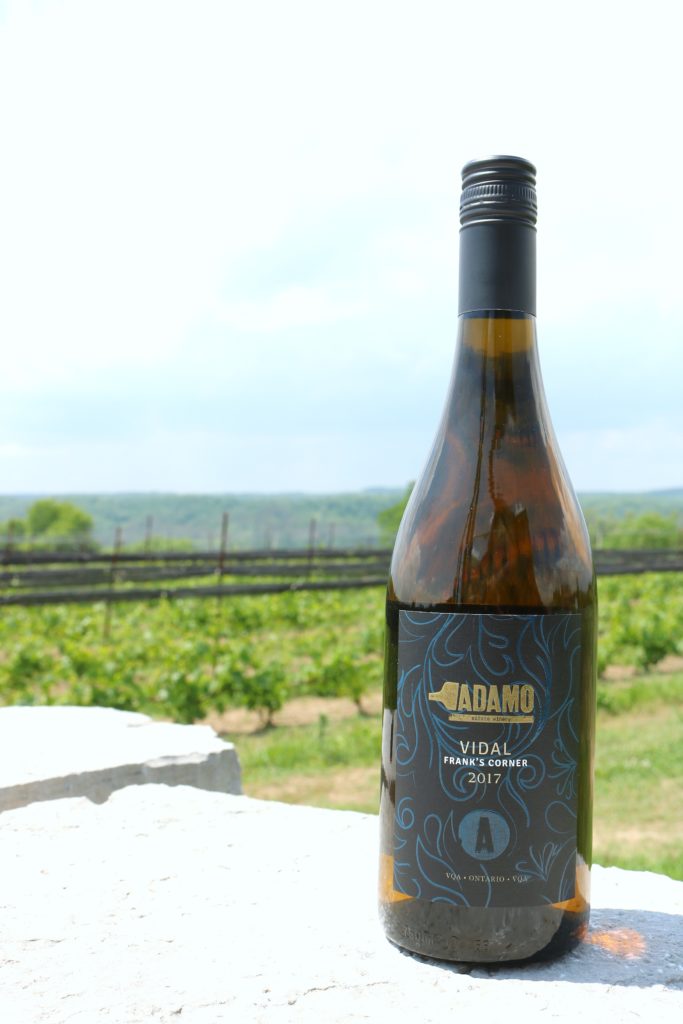 A bottle of Adamo Vidal sits on a flat rock with the Adamo vineyard in the background. 