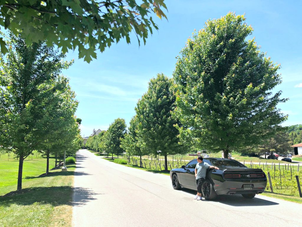 A man stands outside of his car and look towards the Hockley Valley Resort.