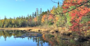 Best Places to Visit in the Northeast This Fall