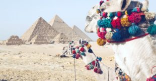 Tips On How to Make Your Visit to Egypt Epic