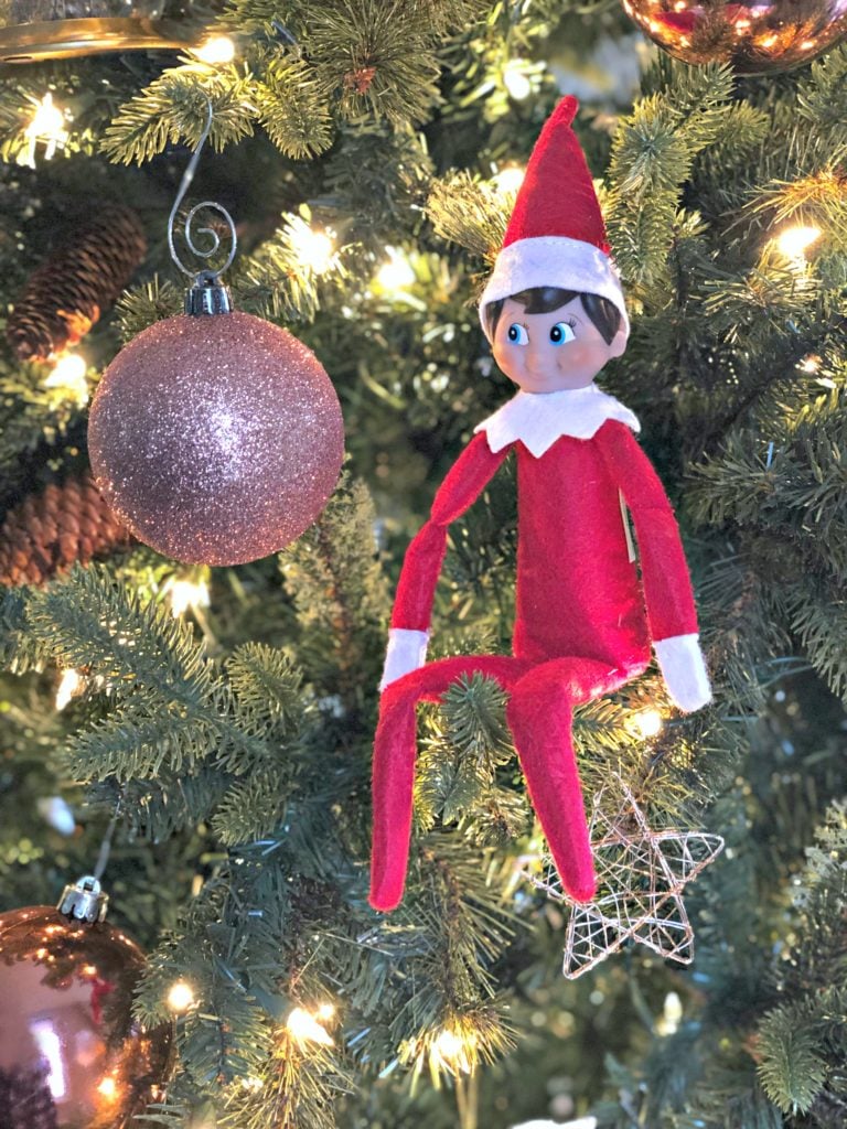 Elf on the Shelf sitting in tree next to ornament. 