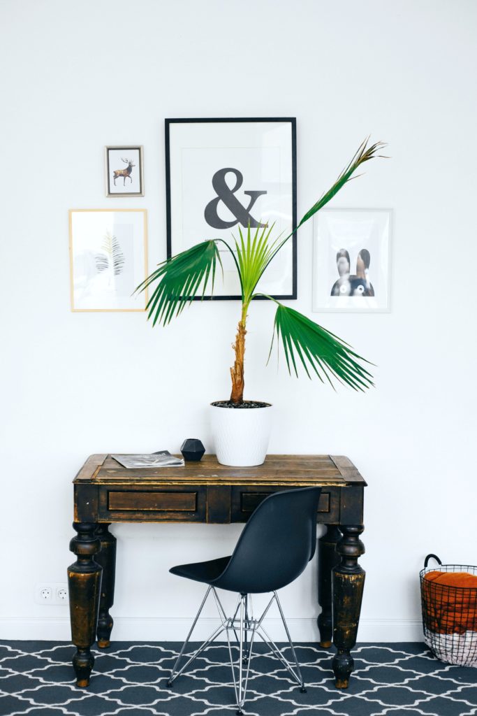 Reclaimed wood desk with a fern. 