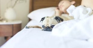 How to Sleep Better Naturally