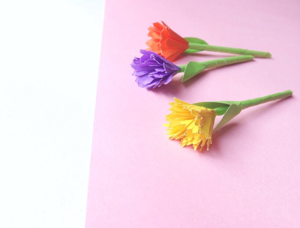 3 beautiful and colourful paper flowers on a white and pink background.