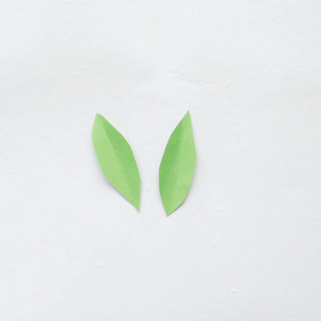 Two leaves cut out of green leaves. 