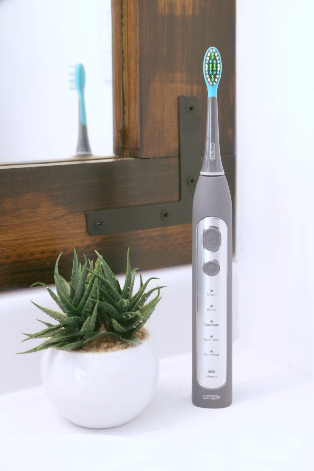 Cari Pro toothbrush standing next to a succulent plant and in front of a mirror. 