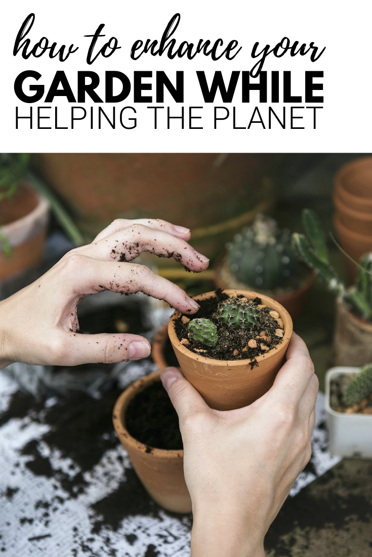 A banner reads, "How to enhance your garden while helping the planet," A picture shows, A woman plants a cactus in a clay pot. Soil is all over her work area. 