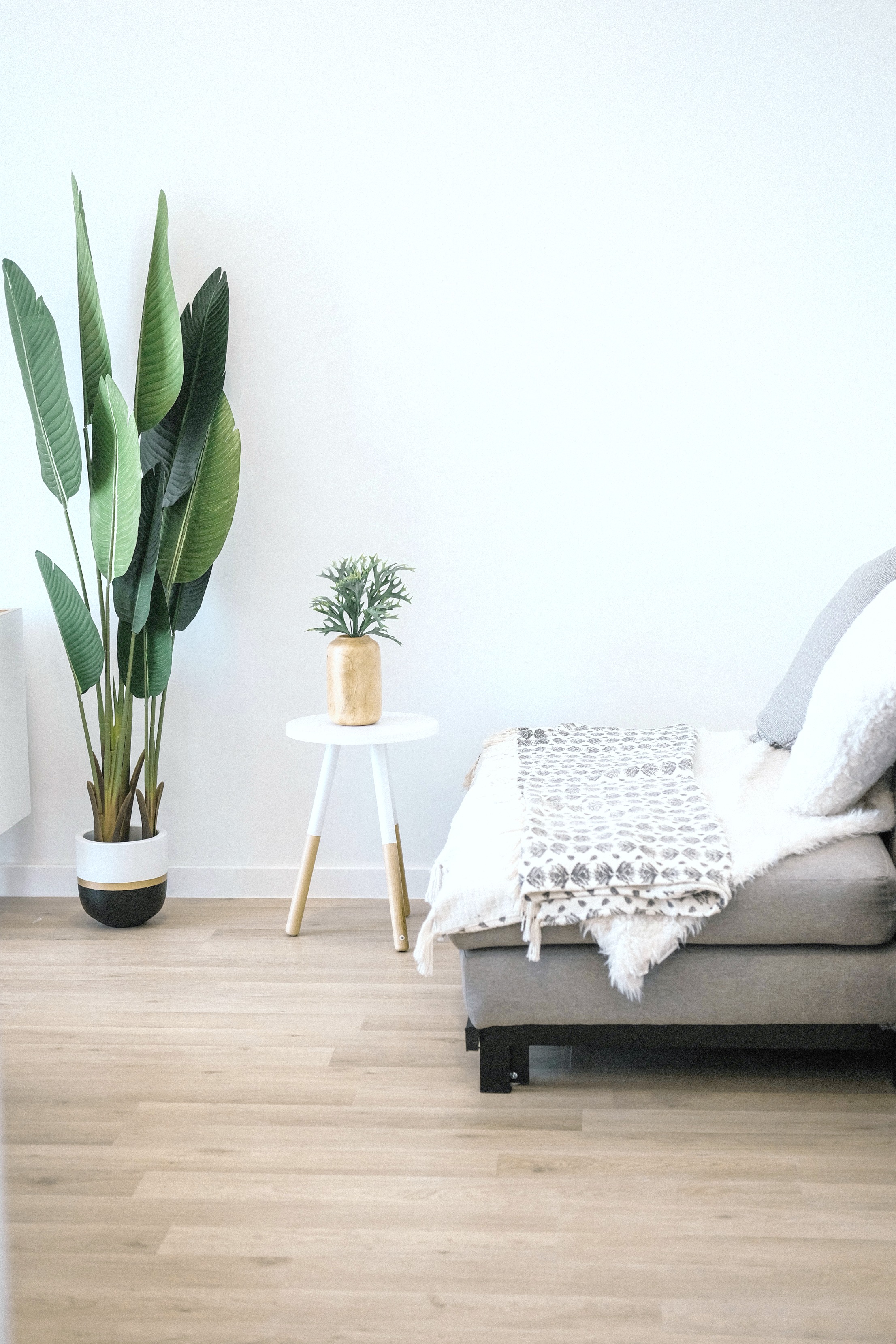 A modern living room with hardwood floors. Plants are shown as well.