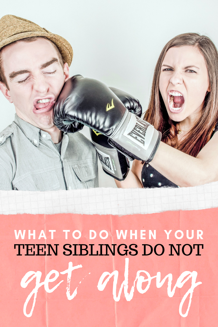 Two teen siblings fight and one punches the other in the face with a glove. A banner below reads, "What to do When Teen Siblings Don't Get Along".