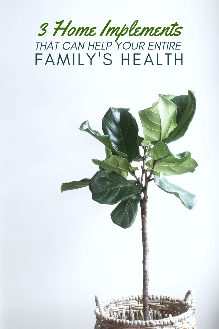 Text reads, "3 home implements that can help your entire family's health, a picture behind it of A fern in a basket in front of a white wall.