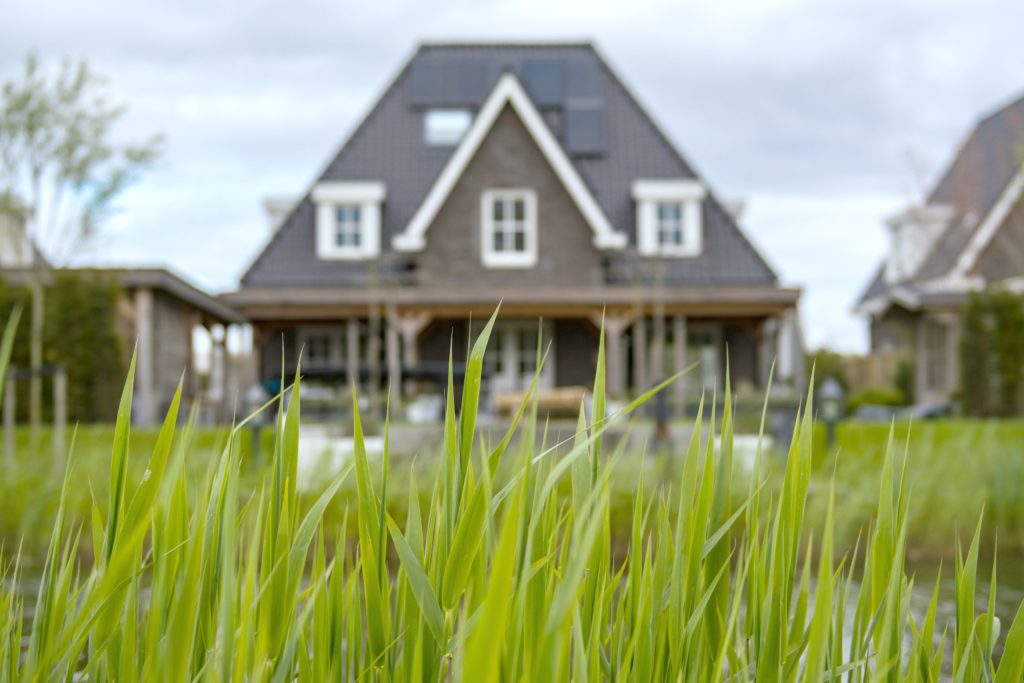 Blades of grass are shown in focus, a large home looms in the background. 