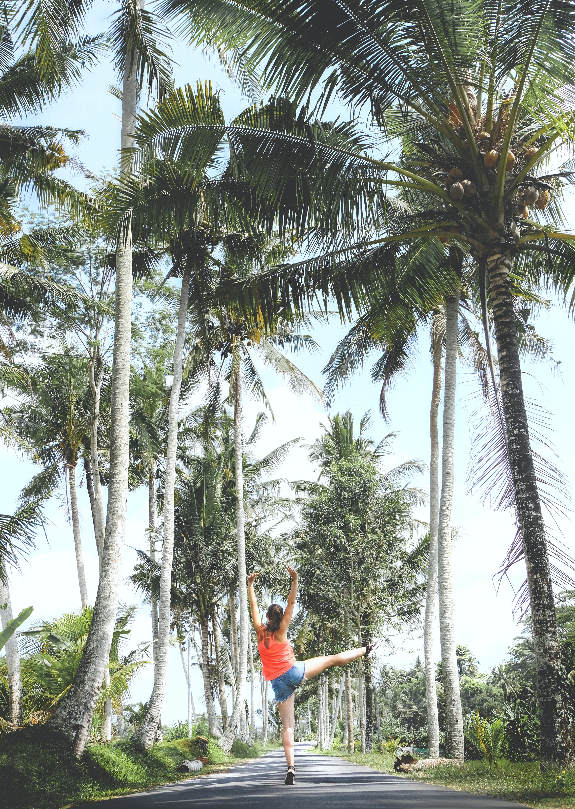 Palm trees are shown, a woman in the center of two rows of them jumps in the air.