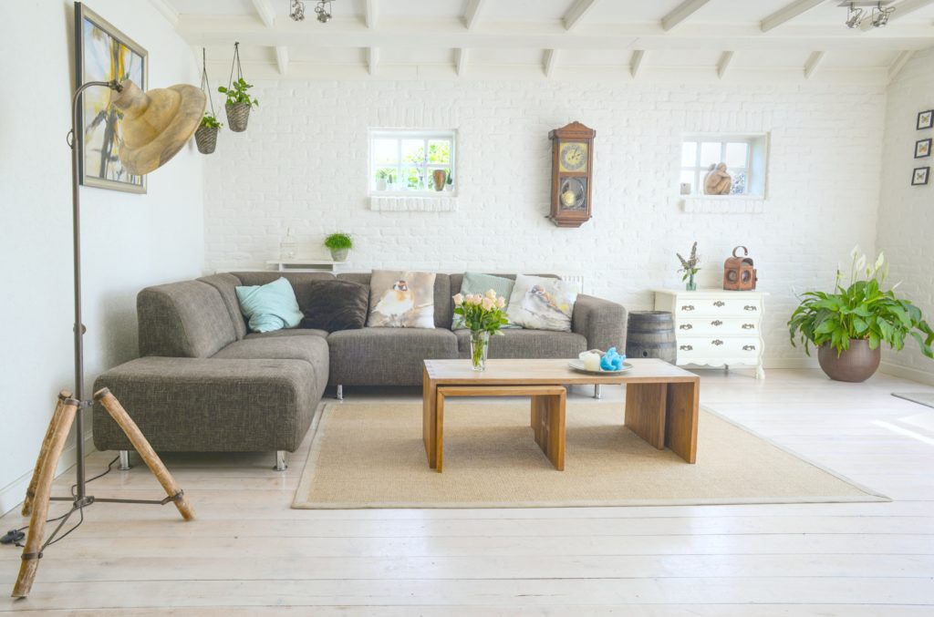 A gorgeous open concept home with plants and windows to let in light.