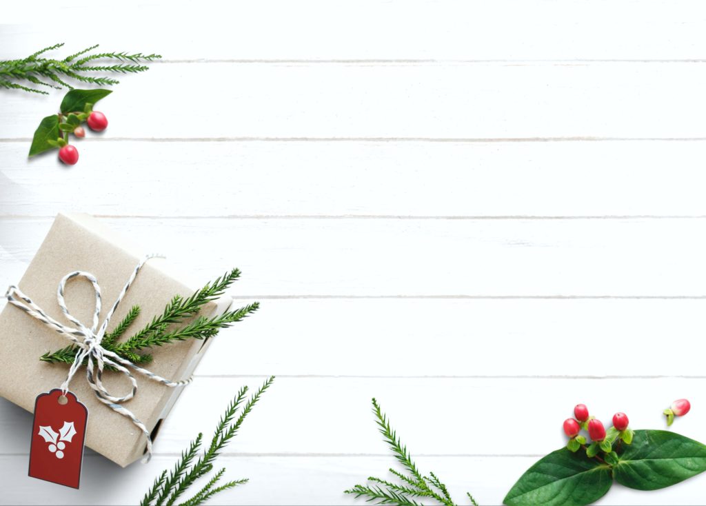 White shiplap background with holly surrounding an eco-wrapped gift with springs of holly as decoration.