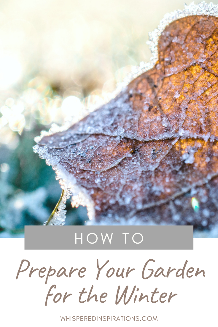 A browned leaf on the ground, there is frost covering it and the grass surrounding it. A banner reads, "how to prepare your garden for winter."