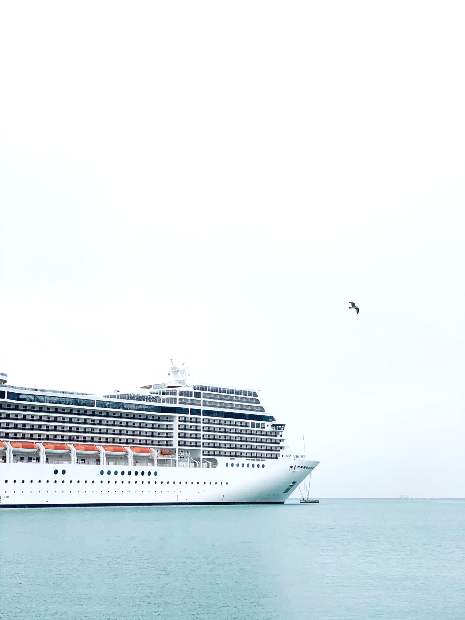 A cruise ship against a white sky, a bird flies high in the sky.