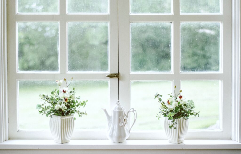 Two plants sit on the window sill. The windows are older and could use an update.