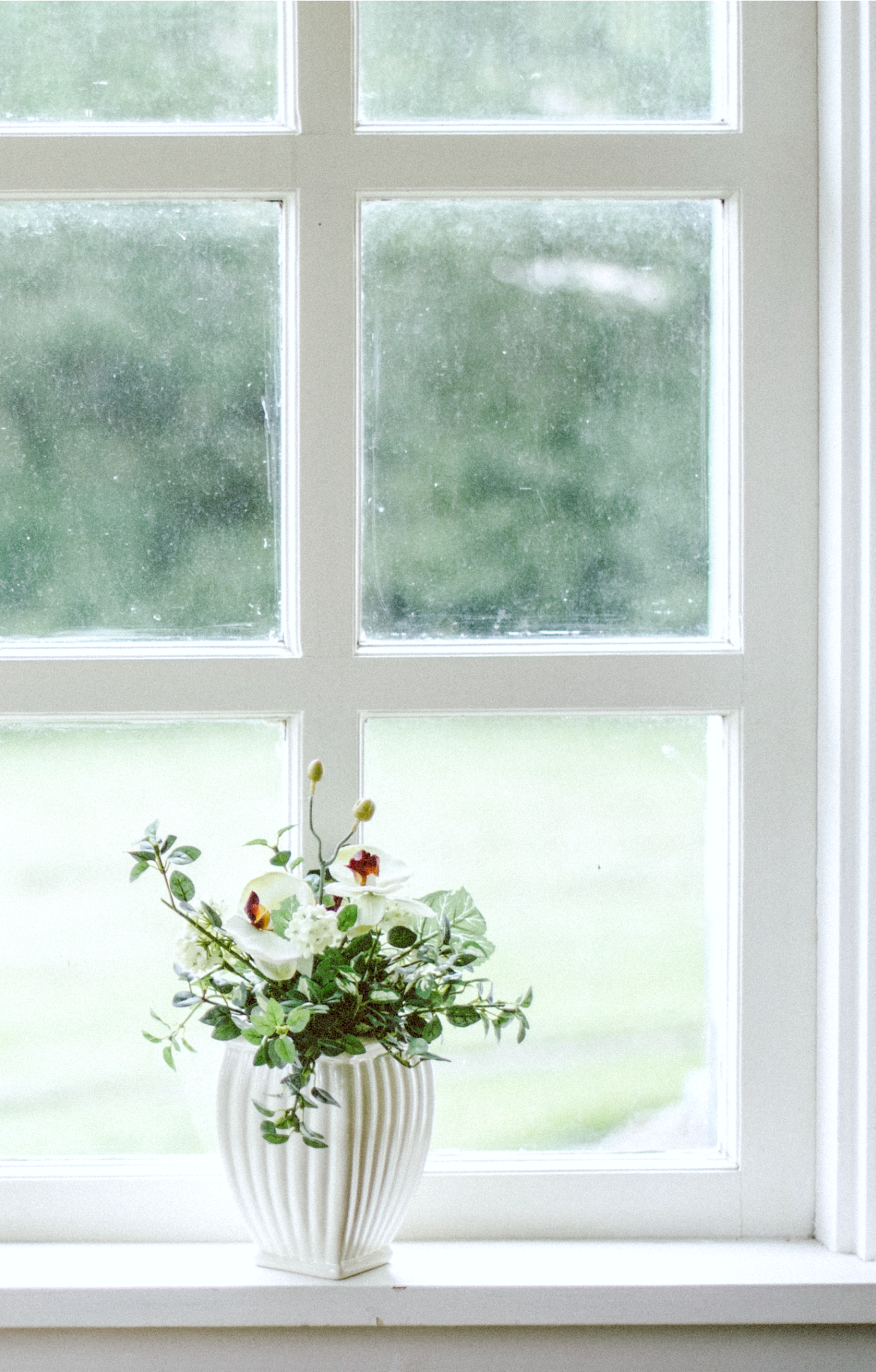 What Do Your Windows Say About Your Home?