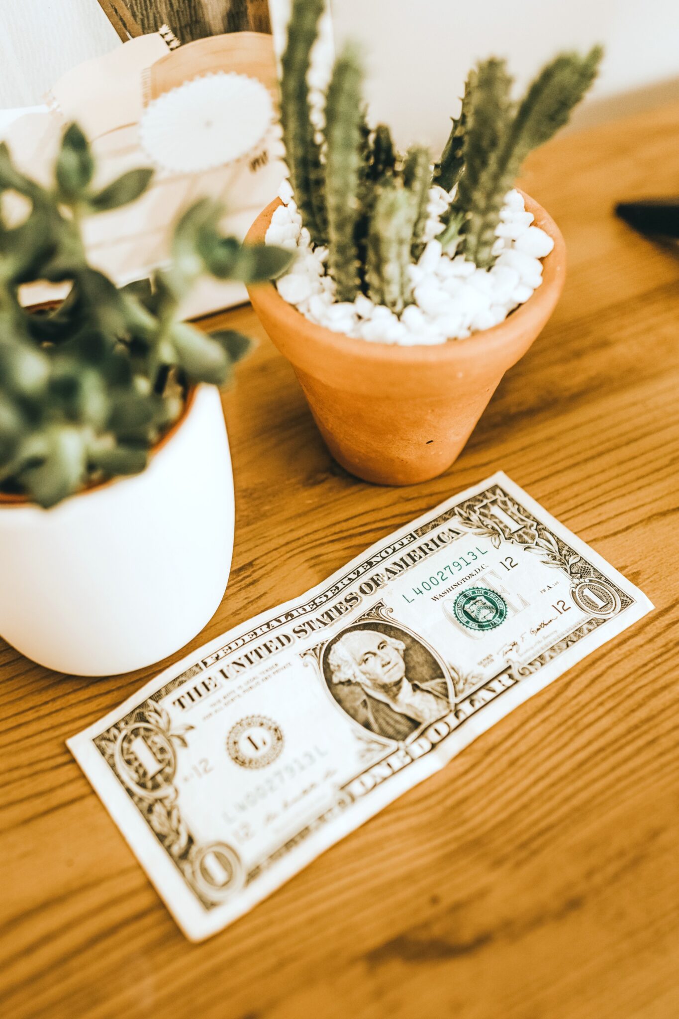 Wooden table with succulents and a dollar bill. A picture for 5 simple ways to reduce your monthly expenses.