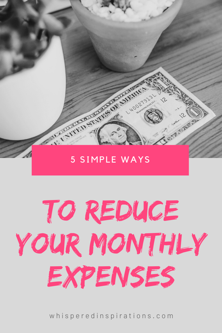 A banner reads, "5 Simple ways to Reduce Your Monthly Expenses," Wooden table with succulents and a dollar bill.