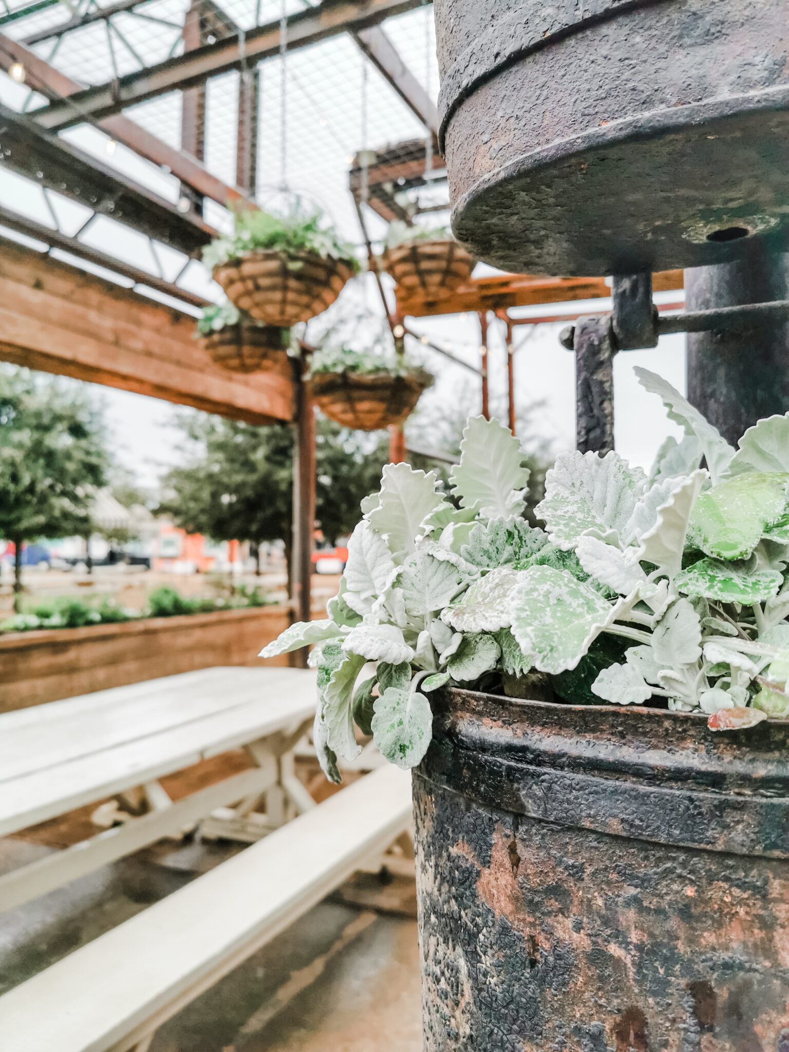 Old and rustic planter pots with greenery. A picnic dining area in Magnolia Market.