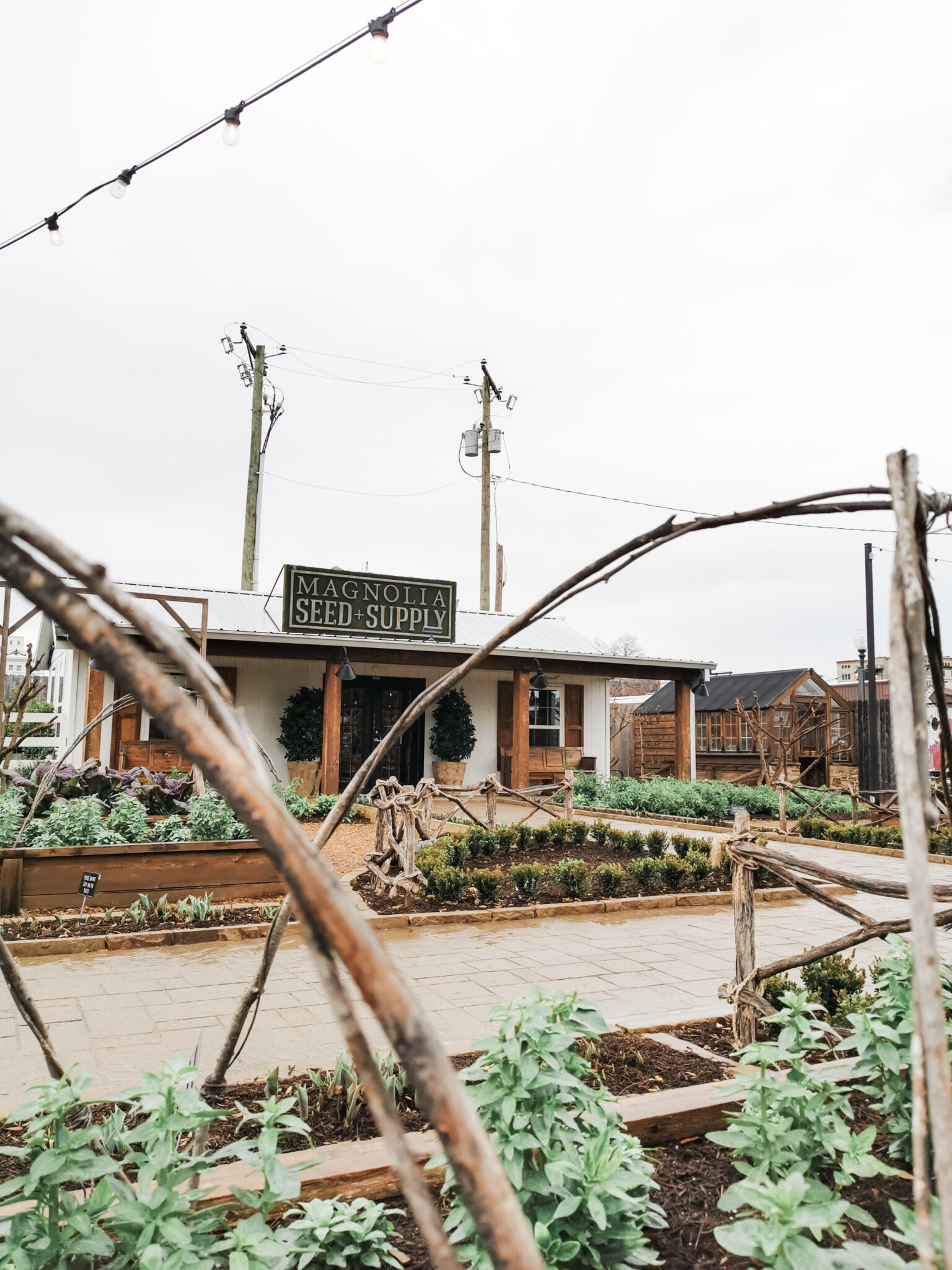 A glimpse of the Magnolia Seed + Supply and Joanna Gaines' garden.