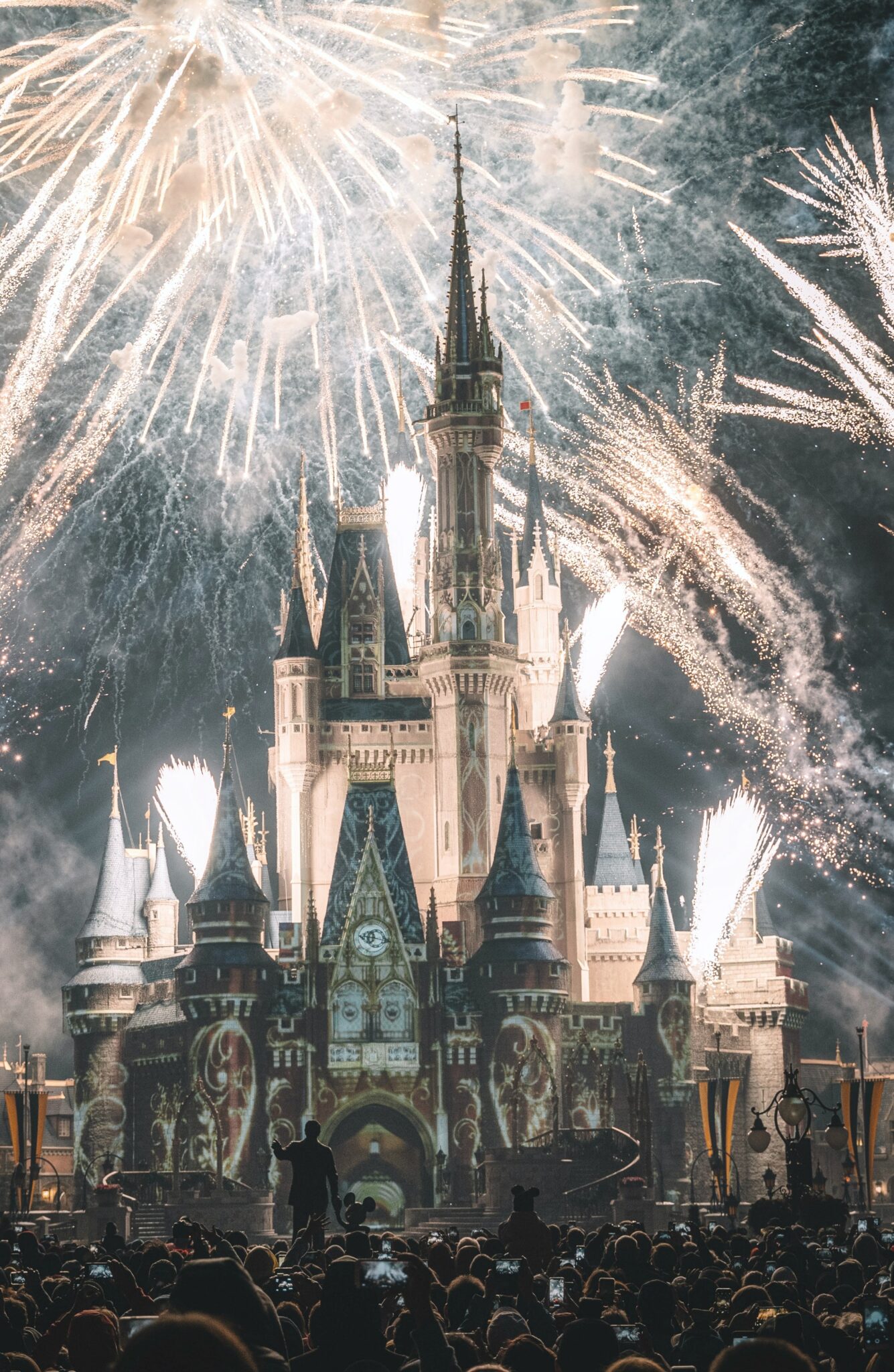 A picture of Disney World during the fireworks. You can see Walt Disney holding hands with Mickey as a silhouette. 