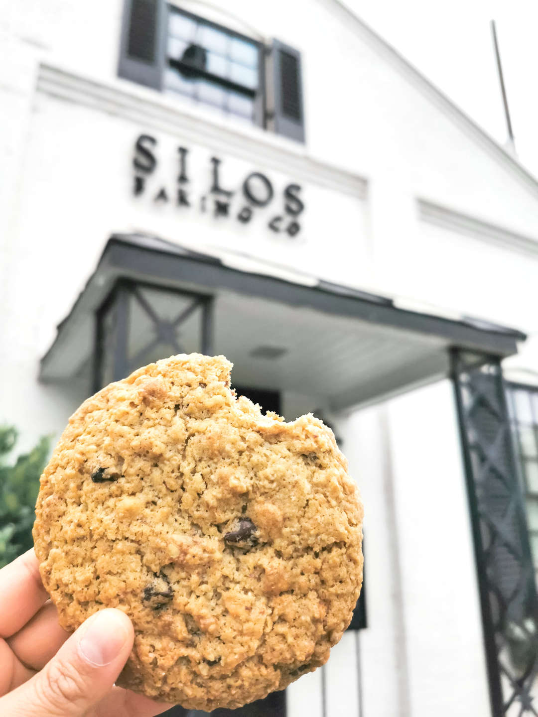 Delicious Silo cookie.