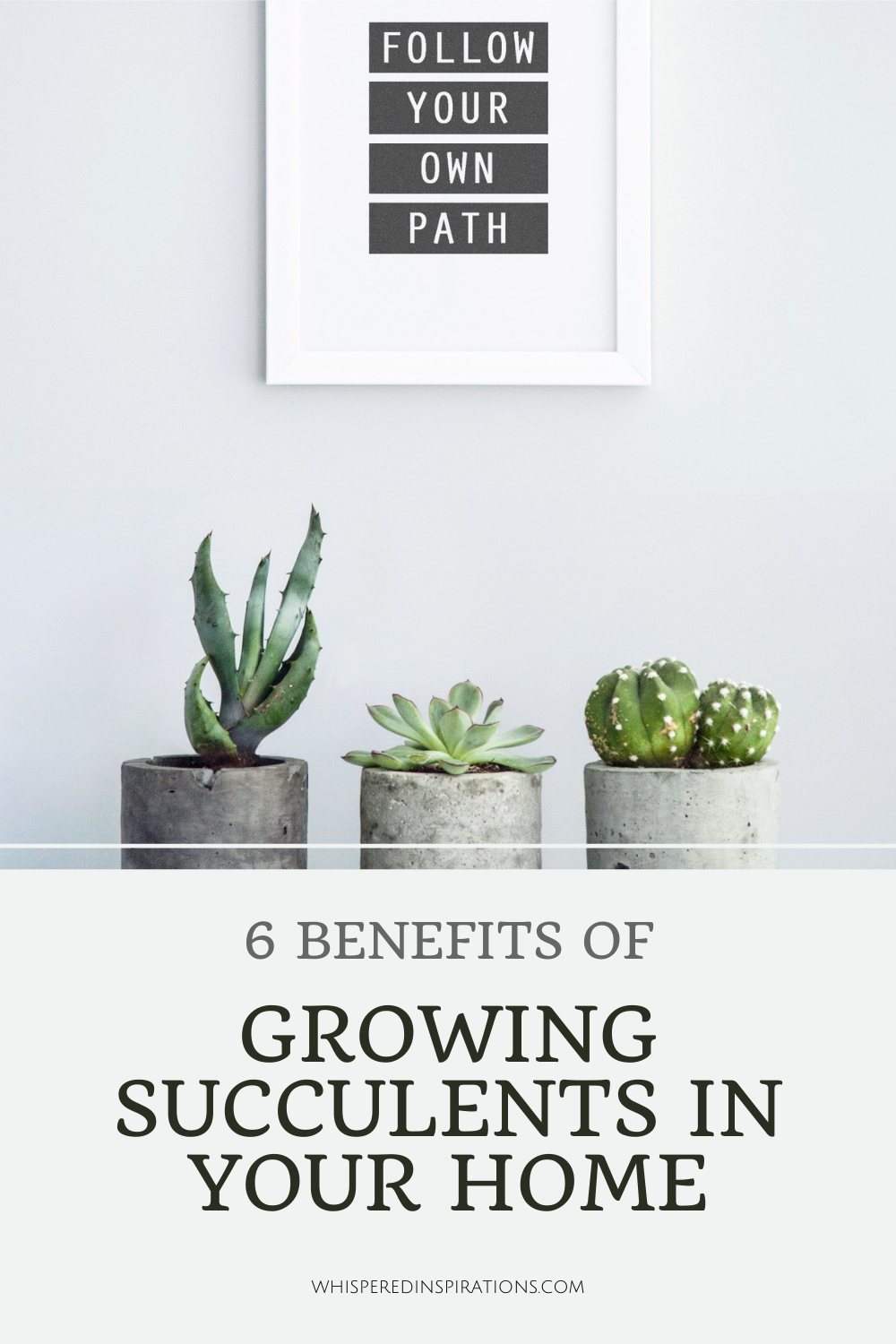 A wall art says, "Follow Your Own Path," and below are 3 succulents. This article covers the 6 benefits of growing succulents in your home.