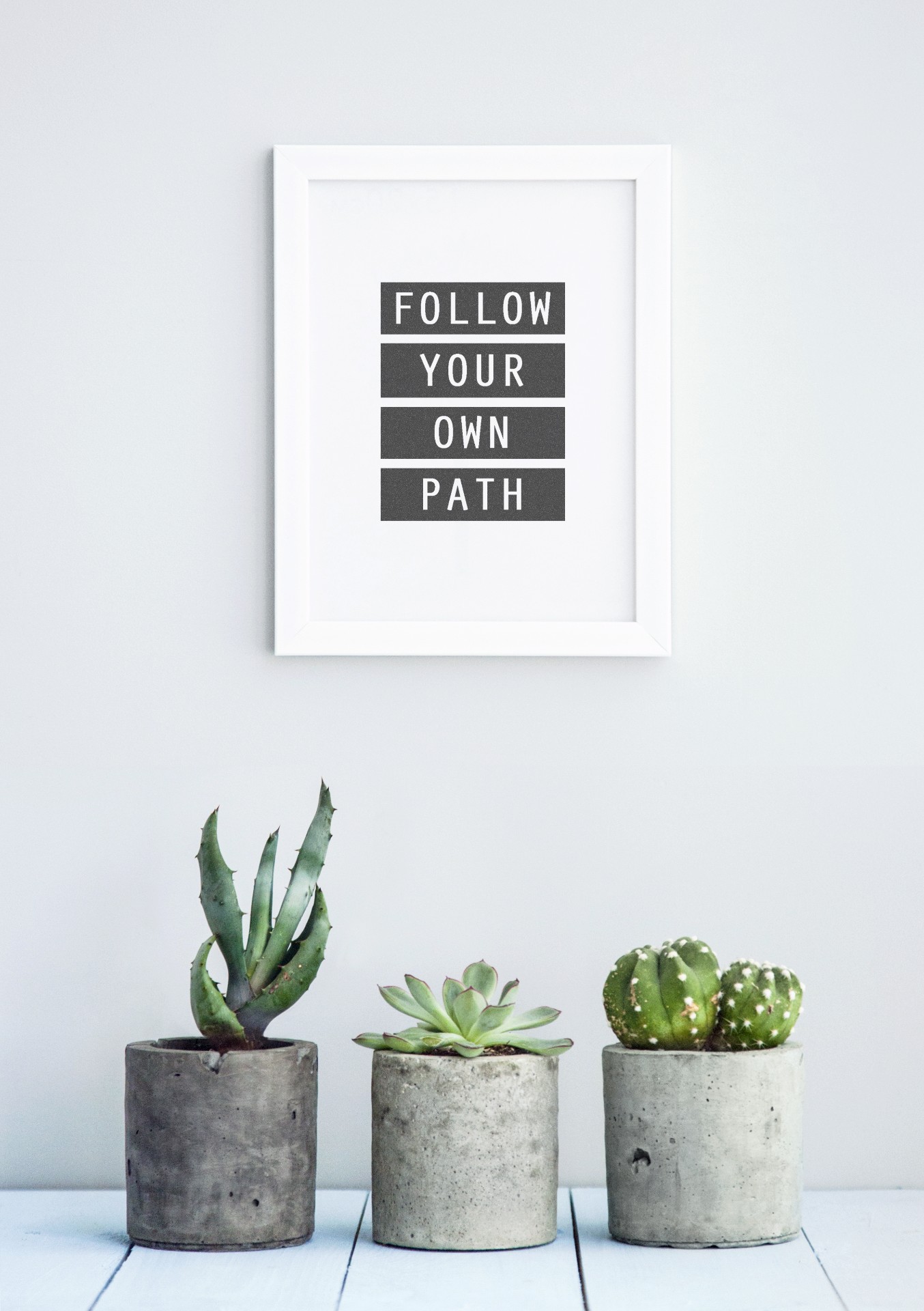 A wall art says, "Follow Your Own Path," and below are 3 succulents. This article covers the 6 benefits of growing succulents in your home.
