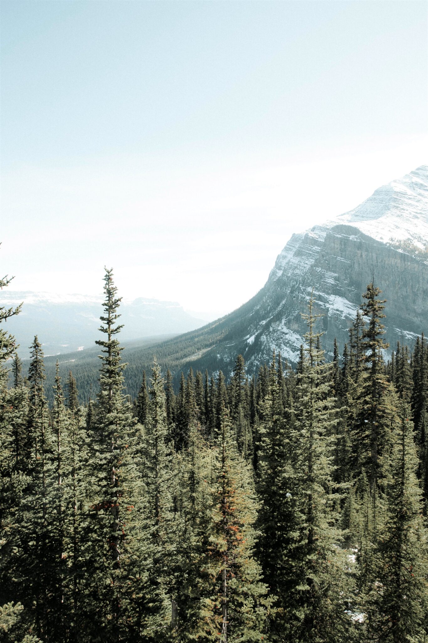 A beautiful Canadian landscape with a dense forest and a snow-covered mountain in the distance. This article covers reasons to visit or move to Canada.