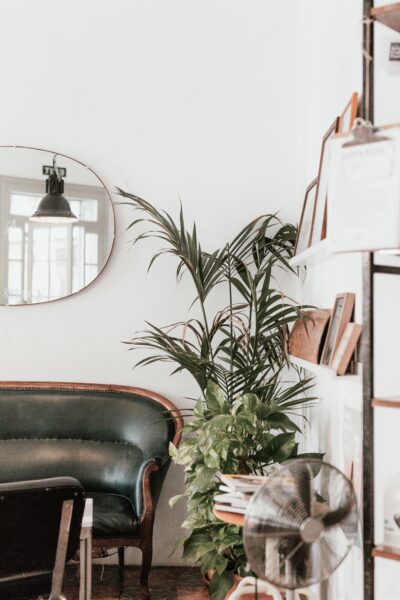 A shot of a living room with a plant and mirror are shown. There is a couch. This article covers how to pay for your home renovation.