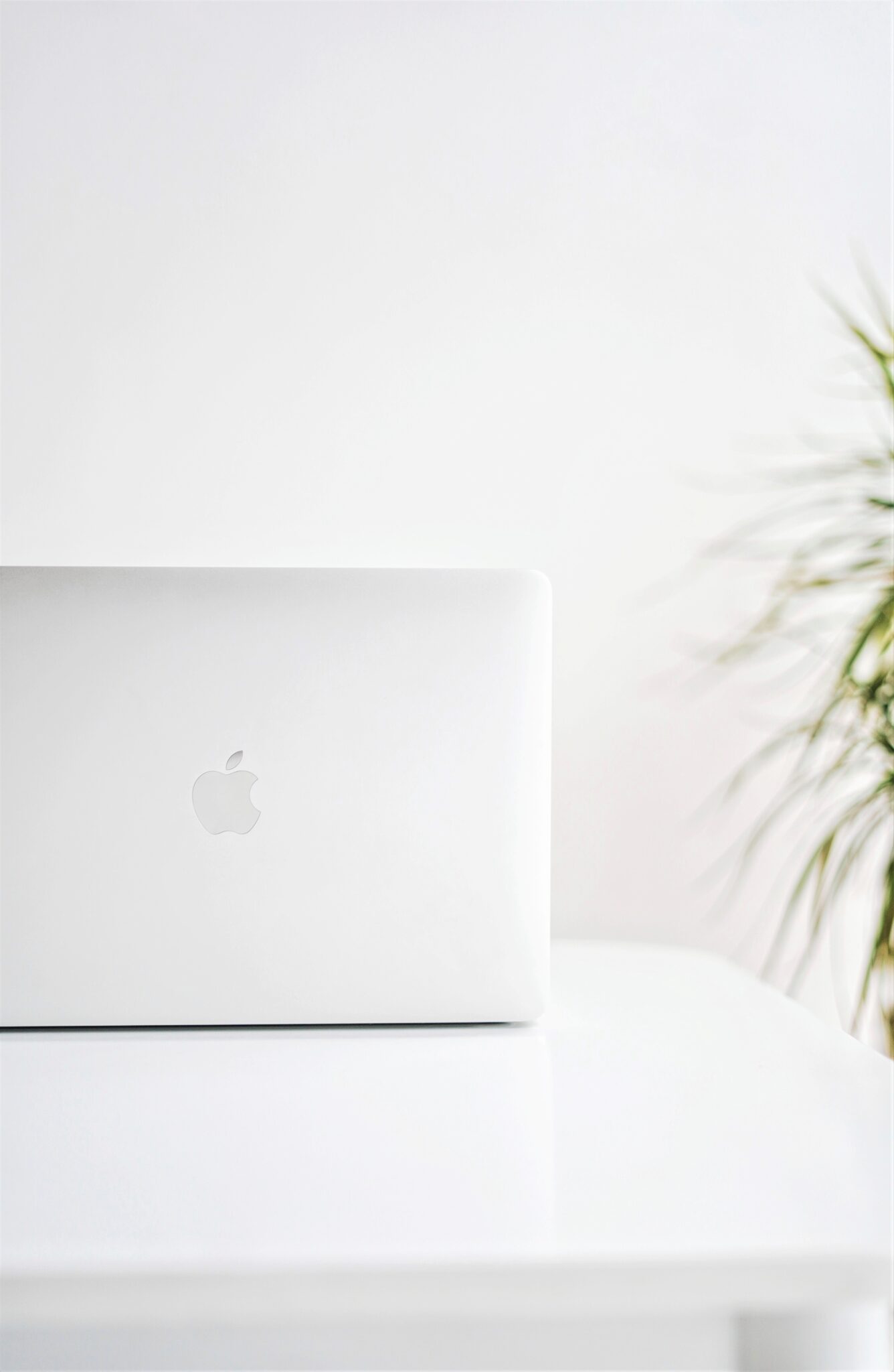 A silver Macbook sits on a white table and green plant is in view. This article covers tips and tricks for Macbook users.