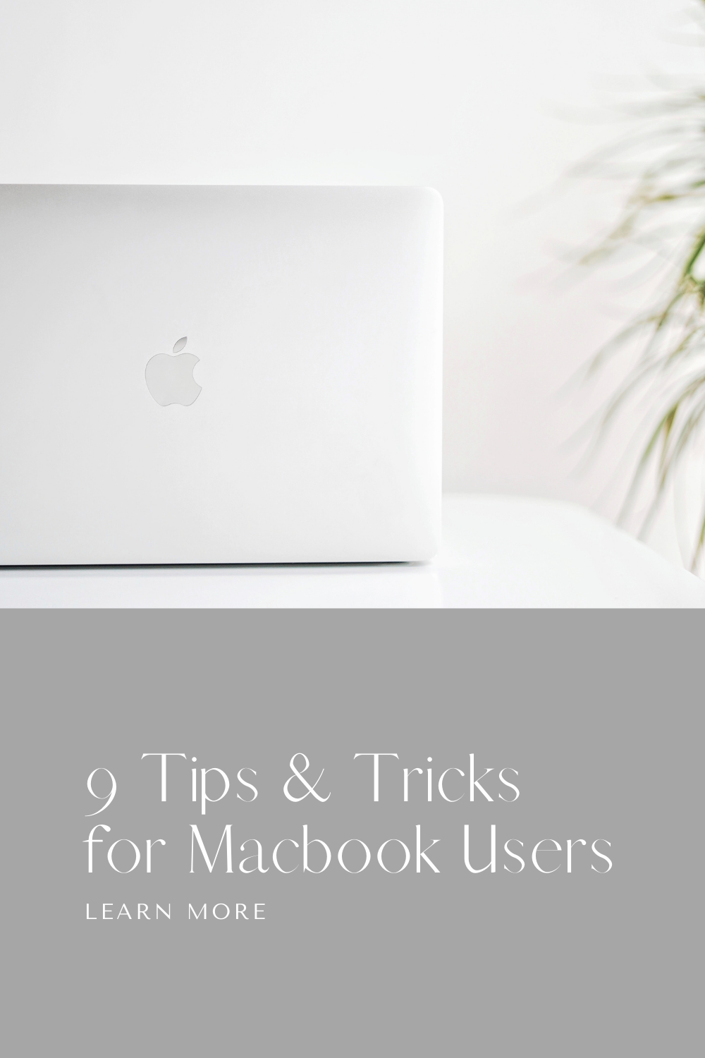 A silver Macbook sits on a white table and green plant is in view. This article covers tips and tricks for Macbook users.