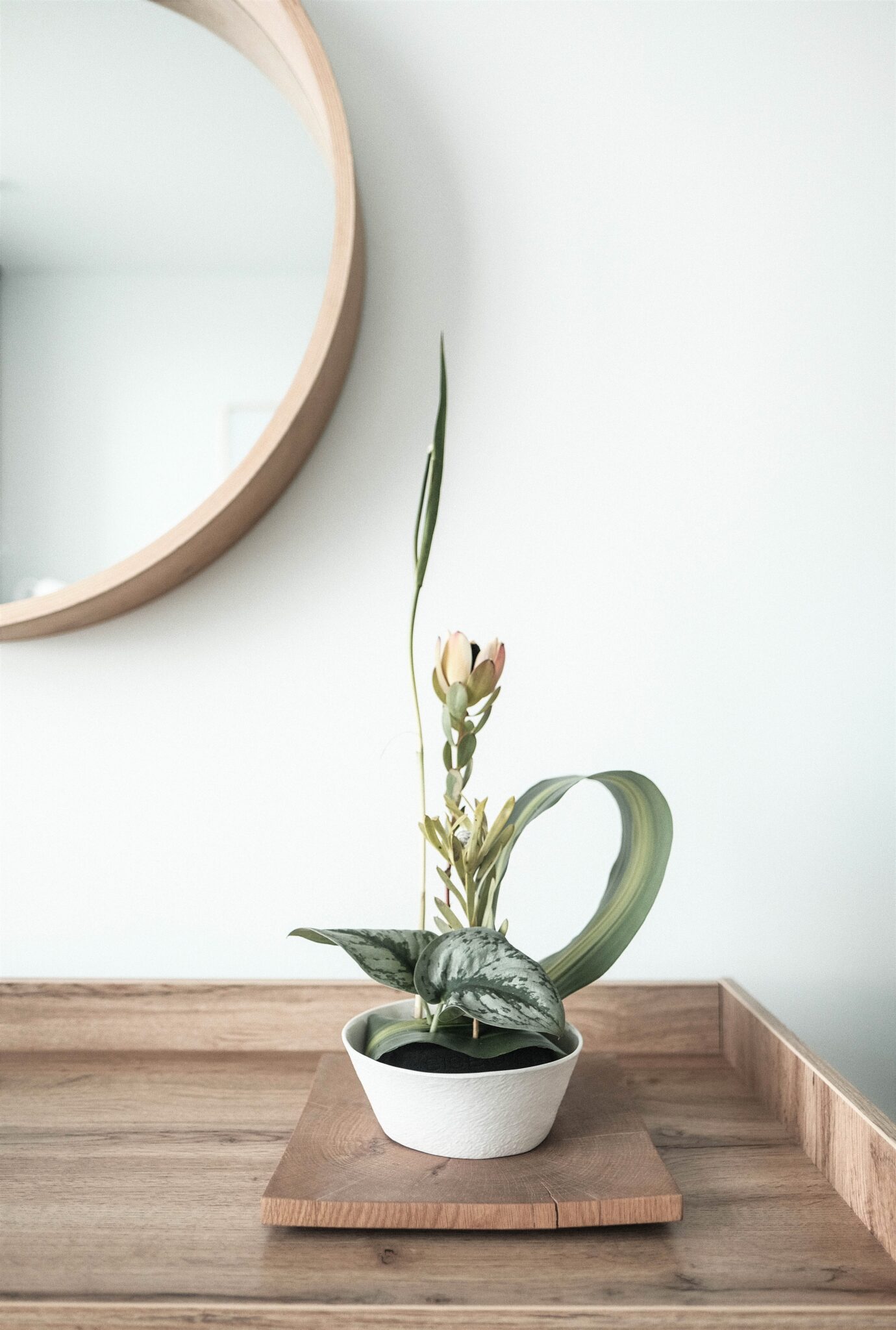 A beautiful plant sits on a console table and a mirror sits behind it. This article covers 5 tips to prepare your new home before moving in.