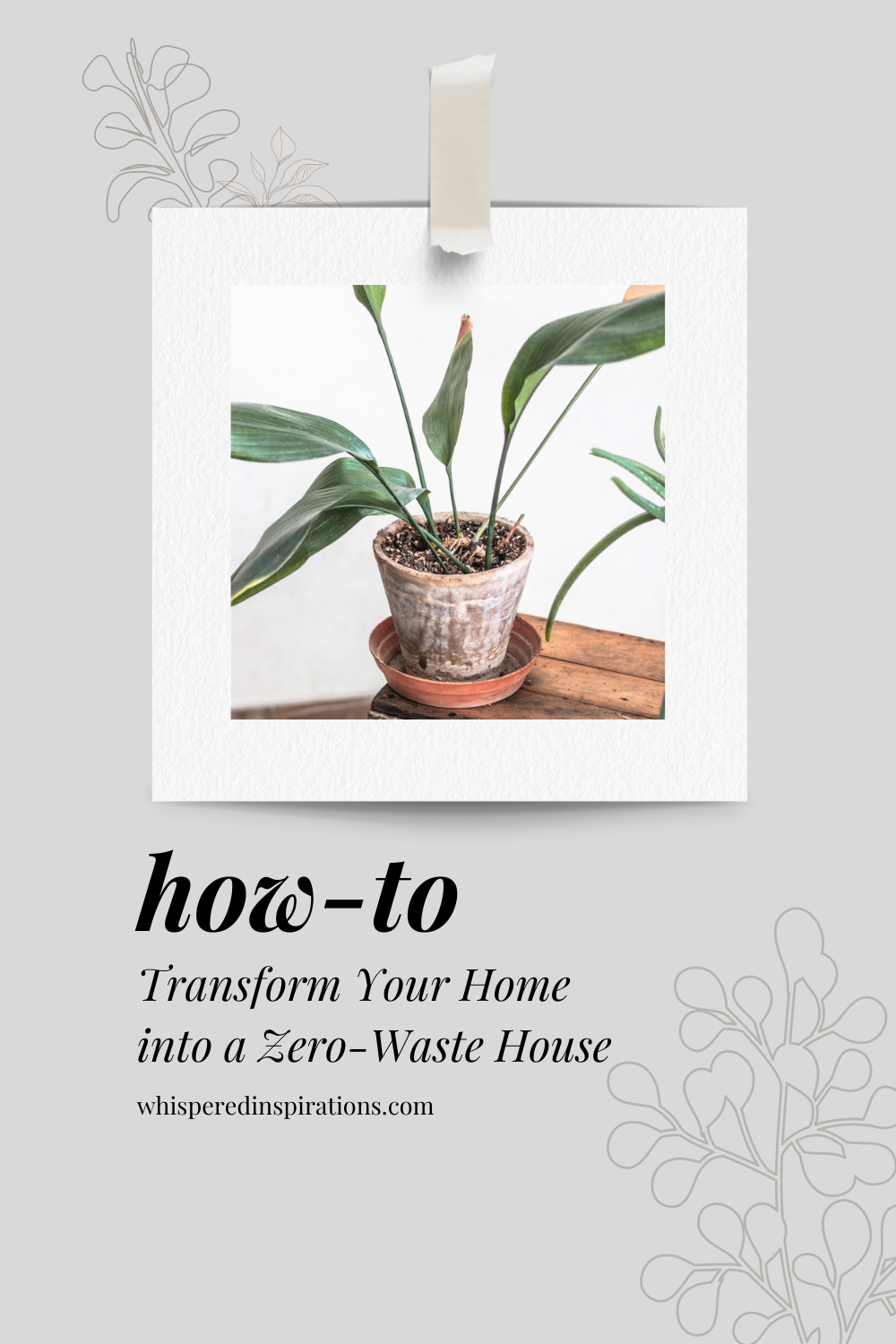 A beautiful houseplant that would be inside an eco-friendly home. This article covers how to transform your home into a zero waste house.