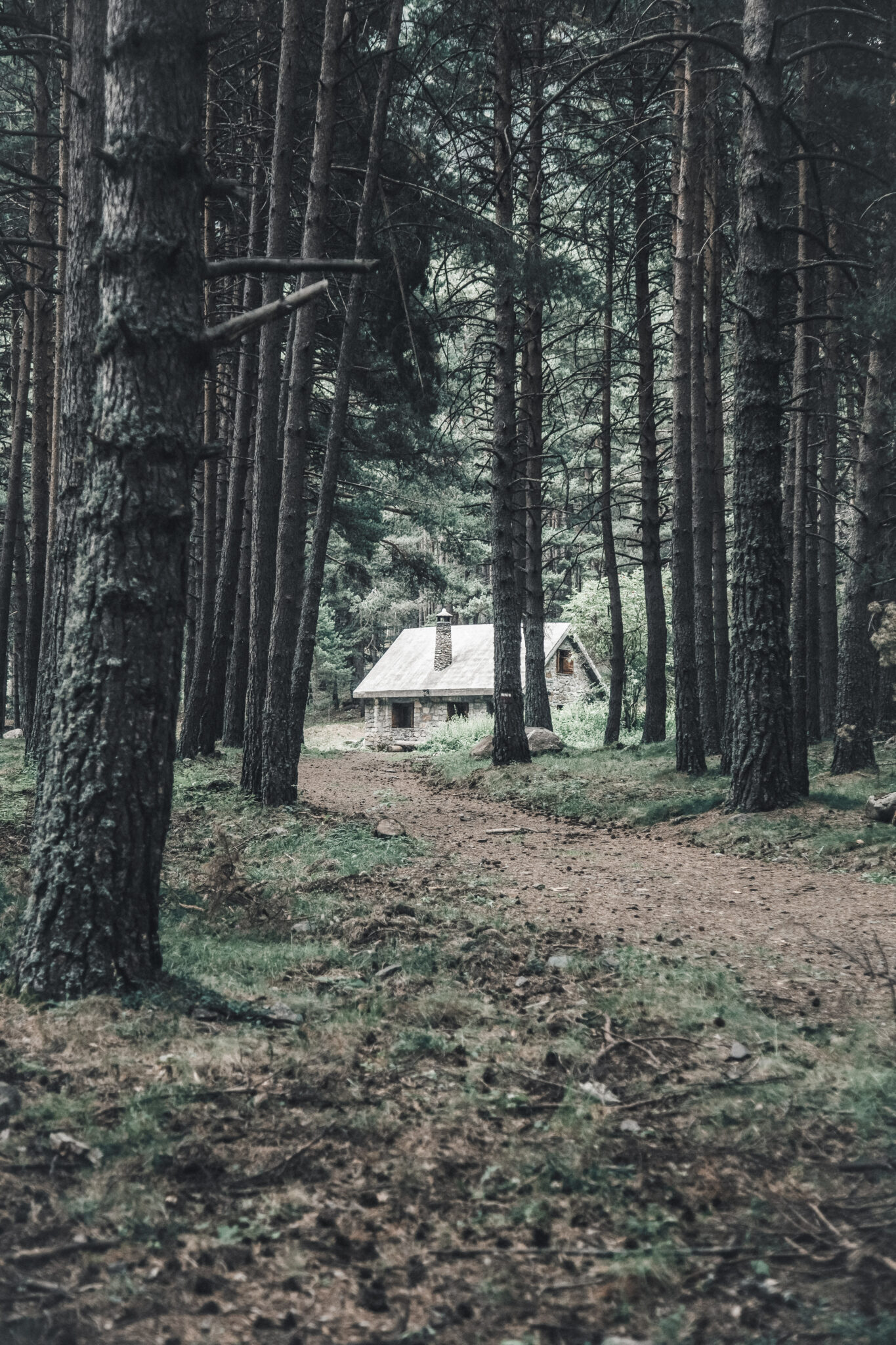 A beautiful forest with a lone cabin in the distance. This article covers how to live off the grid. 