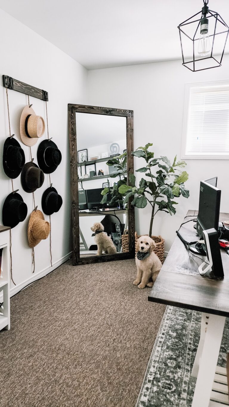 Goldendoodle sits on the carpet of an office. This article covers how to keep your house a home with a pet.