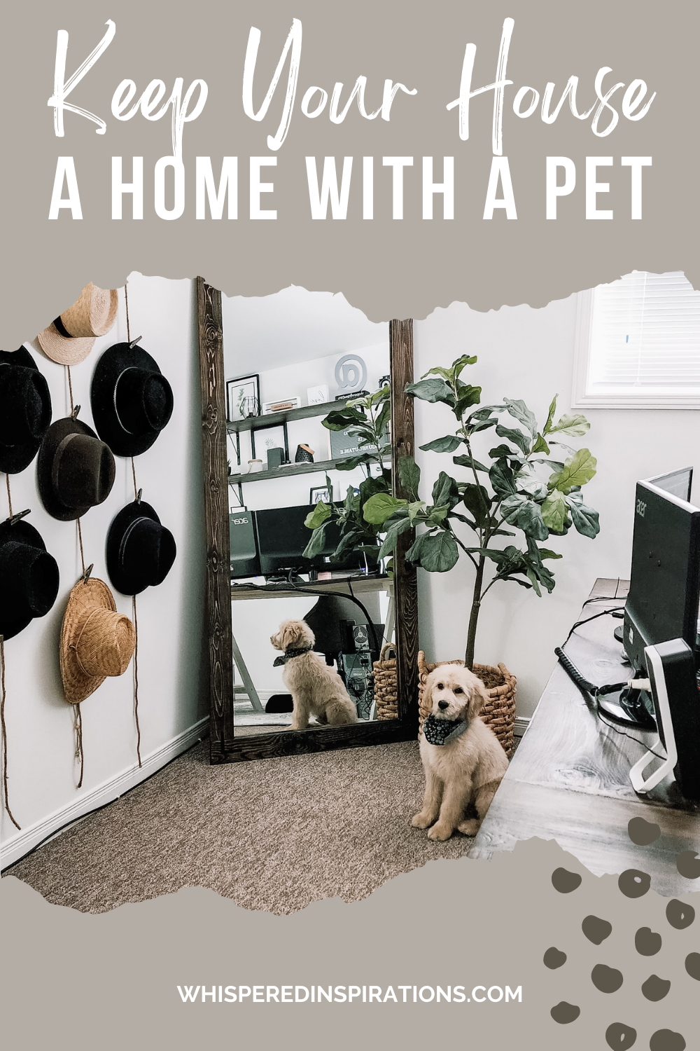 Stylish decor and pets can coexist in your home. Here's how.