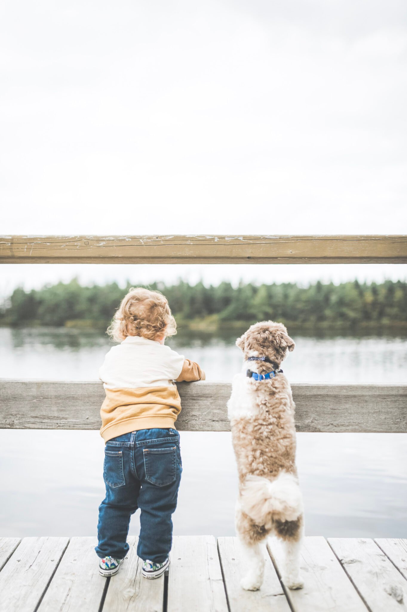 How To Make Your House Safer for Toddlers