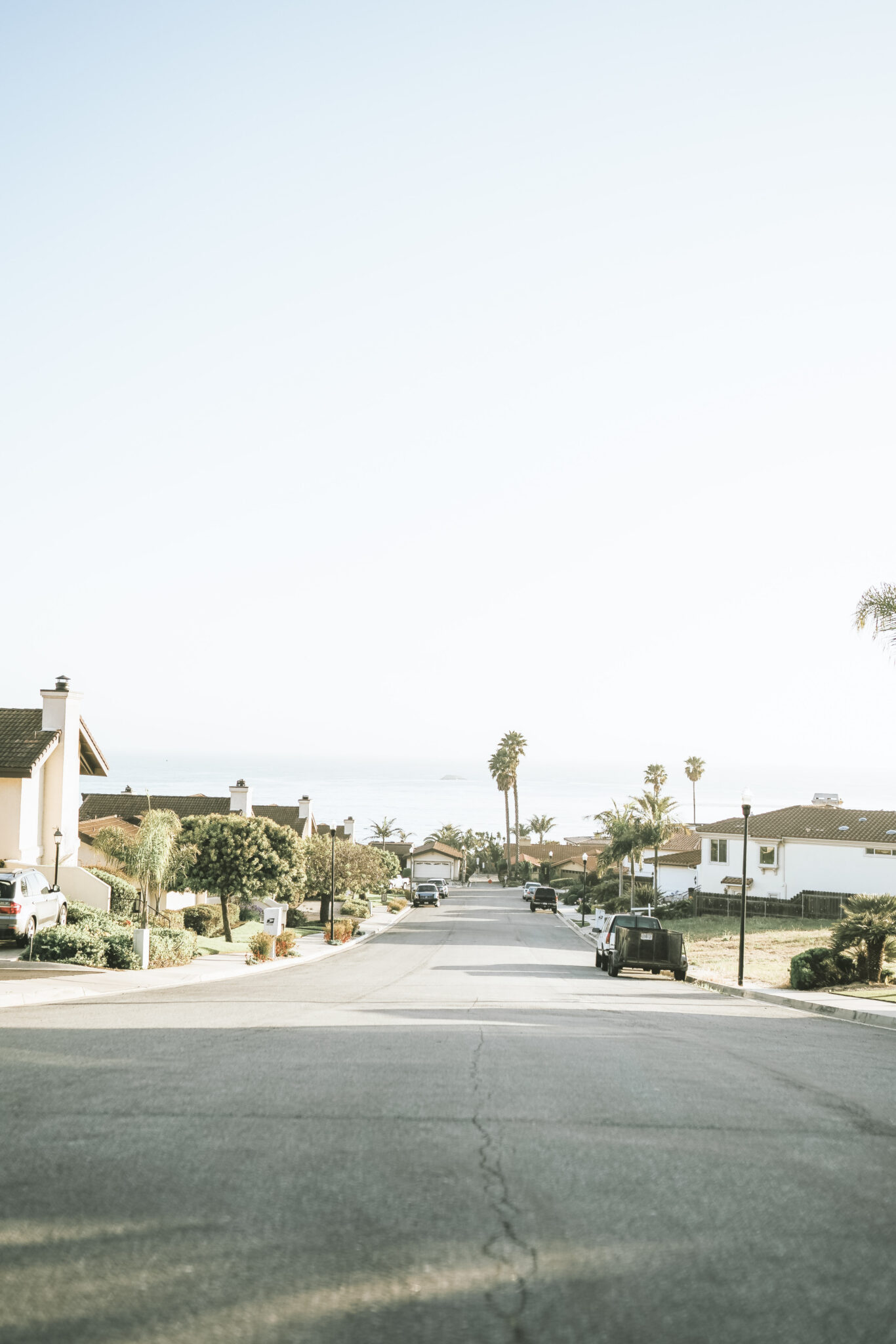 The suburbs are shown with palm trees lining the street. This article covers the question,is it time to move a suburb?