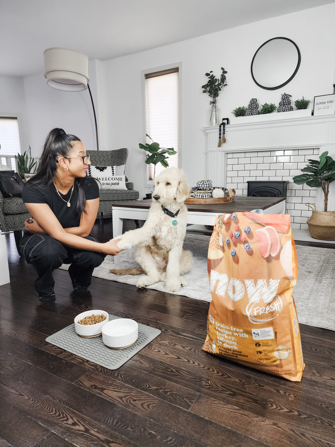 Falling in Love with NOW FRESH Kibble Whispered Inspirations