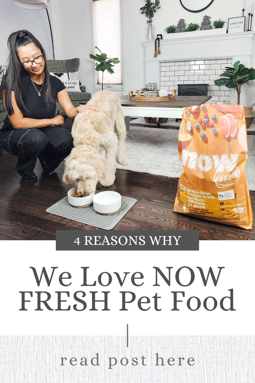 Kimchi is sitting in the living room next to his bag of puppy food from NOW FRESH. This article covers Falling in Love with NOW FRESH Puppy Kibble.