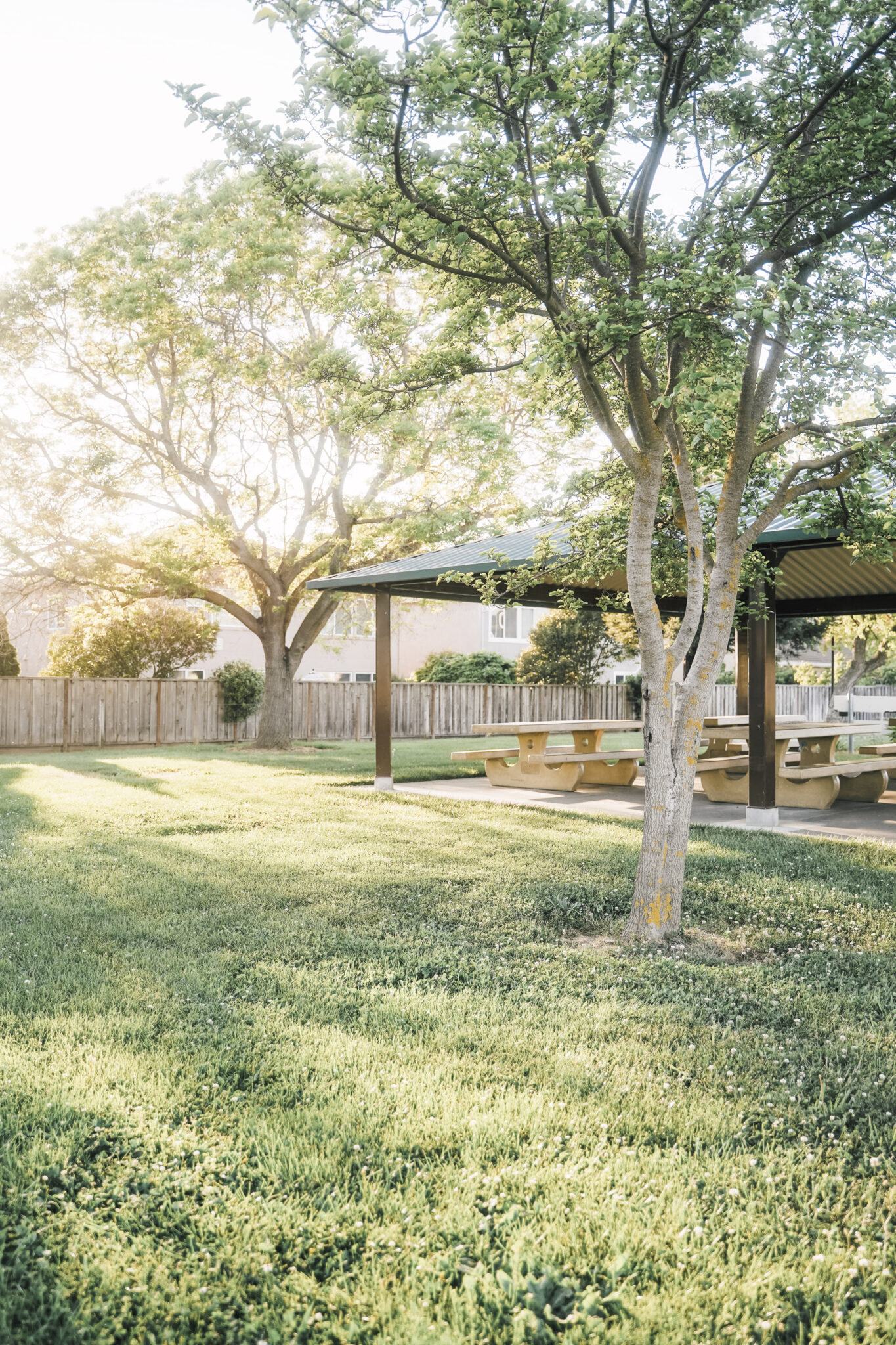 A serene back yard with a beautiful lawn. This article covers the best things you can do to prepare your yard for winter.