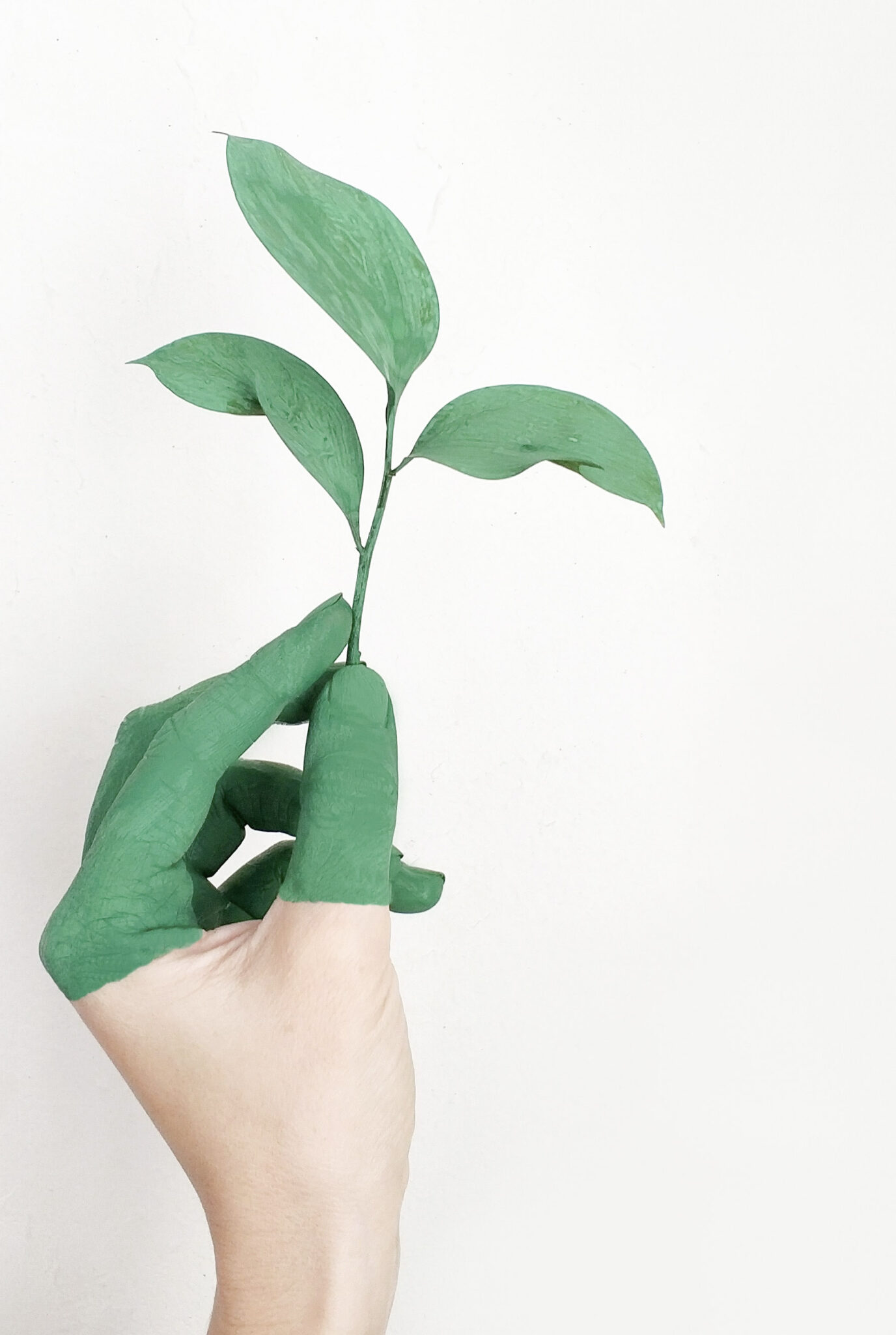 A hand is shown holding a green plant. The hand is dipped halfway in green paint. This article covers 3 ways to live a more eco-friendly lifestyle. 