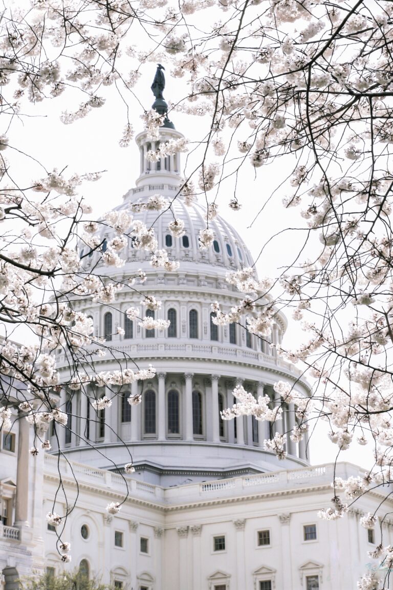The state capitol is bordered by white cherry blossoms. This article covers how to plan a weekend break to Washington, DC.