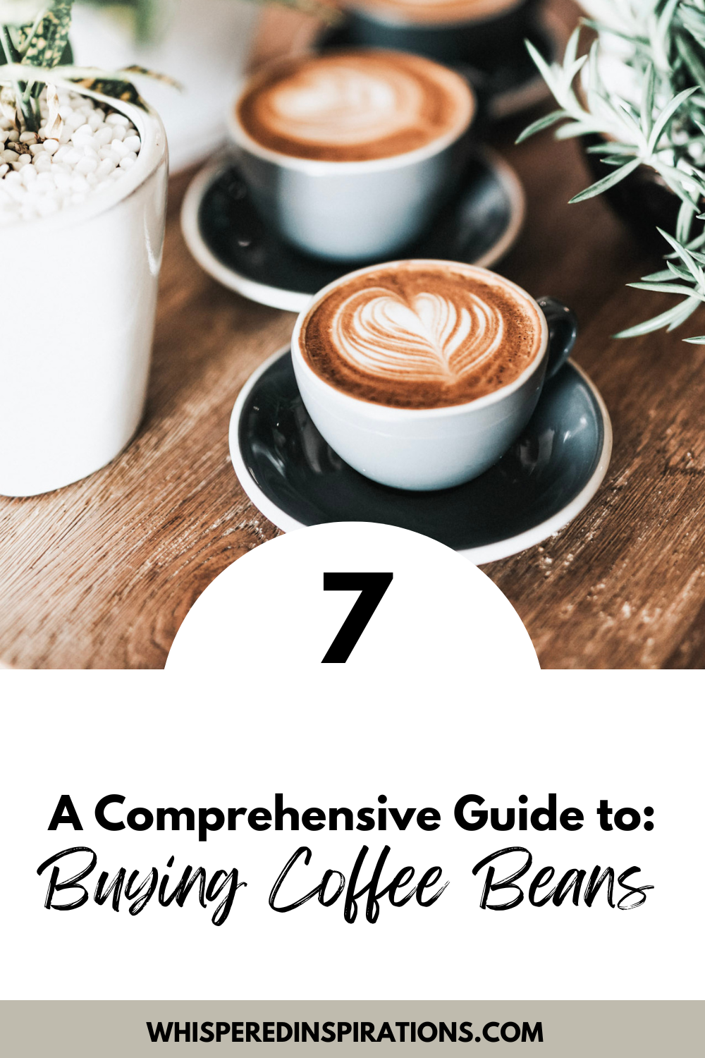 Plants and 3 lattes sitting on a wooden table. Succulents are next to them. This article covers discovering the world of coffee, a comprehensive guide to buying a coffee beans.