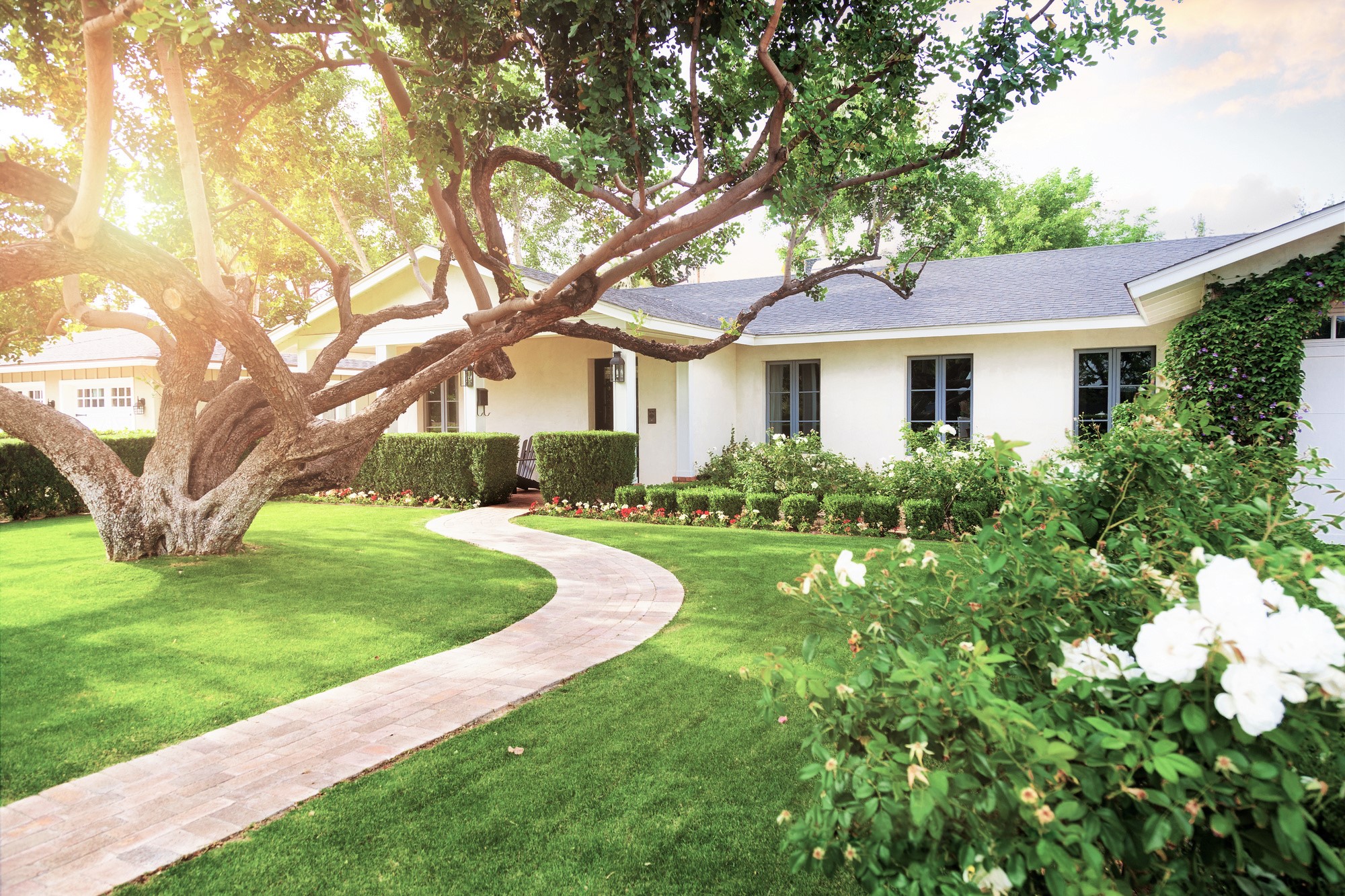 A beautiful black and white home with lush landscaping and a large tree. This article covers ideas to enhance your landscape design.
